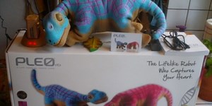 Innvo Unveils New, Upgraded Pleo