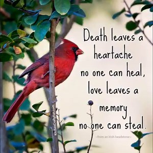 6.6M views · 40K reactions | Kitchen Crafty Fun on Reels | Facebook