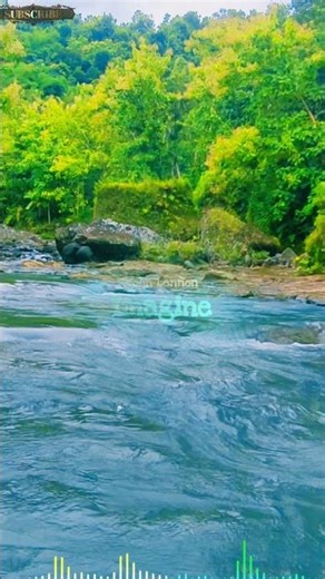 John Lennon - Imagine Live Perform Cover Versions #Imagine #JohnLennon #shorts #coversongs