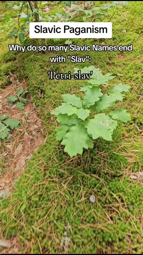Other names carry deep meaning like for example Miroslav (mier means peace) Jaroslav (Jaro means spring) .Other suffices included mir like Bohumir (Boh means God and mir means peace). Paganism and Christianity: 'Collection of the Contributions from Workshop on Paganism and Christianity' #slavicname #paganism #traditions #Slavic #culture #slavicnames #slavicpagan #witchtok #ancestors #namingceremony
