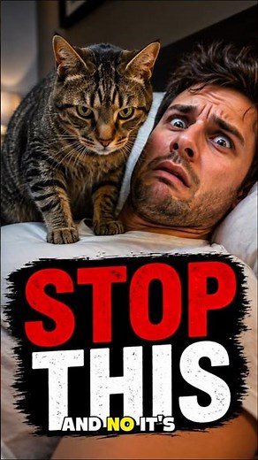 Stop Doing This If Your Cat Wakes You Up at Night #catbehavior #catcare #cat