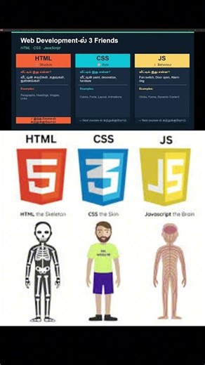 Web Development-ல இதுதான் Basics! 🚀 | HTML vs CSS vs JS | #TamilTech