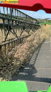 73K views · 724 reactions | John Deere Hinged Draper combine header in slow motion harvesting wheat #wheat #agriculture #harvest2023 | Pro Horizon Farming Content | Facebook