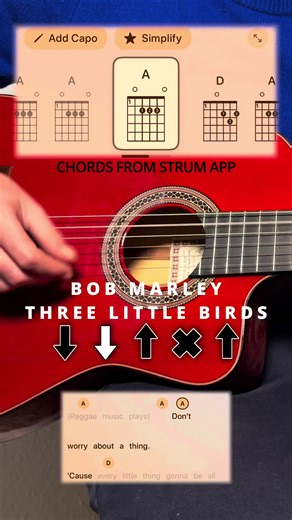 How to play Three Little Birds from Bob Marley (with chords and lyrics) #guitar #tutorial #reggae #easy #bobmarley