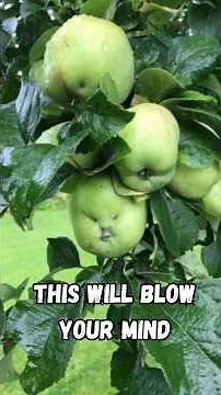 12 Hidden Faces You See in Rare Photos