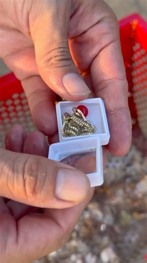 Unbelievable Luck! Found a Gold Necklace with a Stunning Red Ruby’s