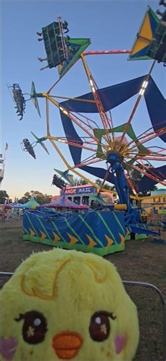 Bbokari vs. The Carnival Ride: The Aftermath... 😵‍💫
