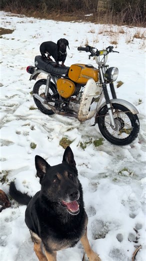 Exploring Simson Tuning and Performance Powers