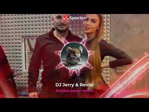 DJ Jerry & Revial - Anička cover