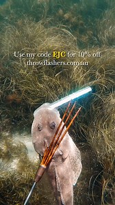 327K views · 1K reactions | I’ll say it once, and I’ll say it again...