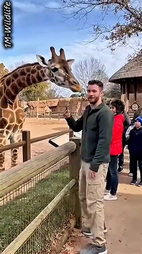 @Ai 👈👈🙏llow my new account . . . . . . #trending #viralvideo #fyp #growmyaccount #foryou