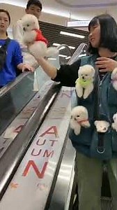 #CutePets #PetAlliance That last guy is so lucky! #CutePets #Pets #Puppies