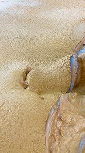 176K views · 638 reactions | The process of finding gold | finding gold in bedrock fragments | finding gold nuggets worth $2500 amazing ‼️ #goldhunter #golddiscovery #lookingforgold #goldrush #goldnugget #goldhunter #goldadventure | Ropis Gold Hunting | Facebook