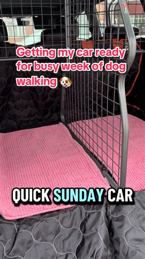 Sunday car reset , getting my car ready for a busy week of dog walking 🐶🐾🐶. We’ve gone for a pink theme . I love using bath mats , easy to wash and comfy for the dogs . I love my boot liner and back car seat cover , saved my car from scratches and muddy paws 🐾 #dogseatcover #dogaccesories #carseatcover