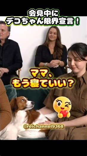 【㊗️30万再生！】会見中にデコちゃん限界宣言！『ママ、もう寝ていい？』🐕😍 #shorts #mlb #大谷翔平