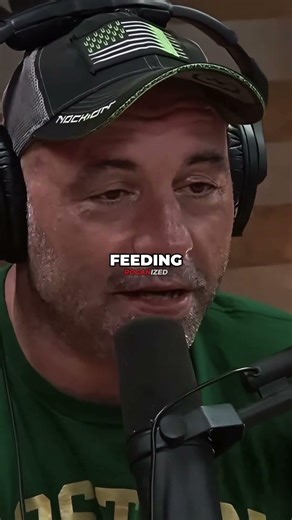 Wildest Zoo Feeding Ever