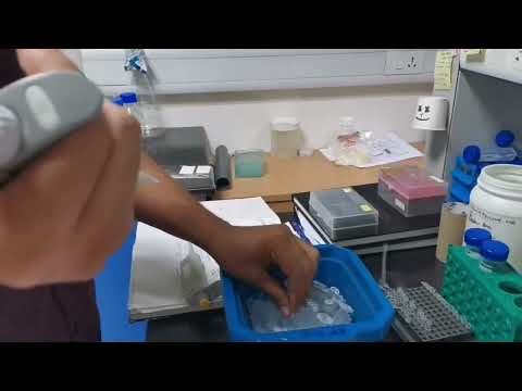 PCR (Polymerase Chain Reaction) | Practical Lab Tutorial