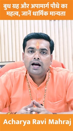 Significance of Mercury and the Apamarga Plant: Religious Beliefs Explained #astrology