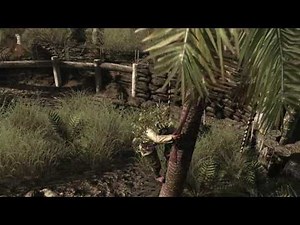 Call of Duty: World at War "Jungle Warfare" Trailer (Official HD)