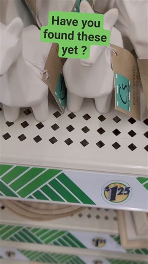 New finds at Dollar Tree. #dollartree #easydiy #dollartreefinds #passionatepaintedlady | The Passionate Painted Lady