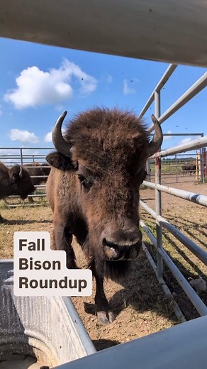 20K reactions · 3 comments | It's that time of year again! We round...