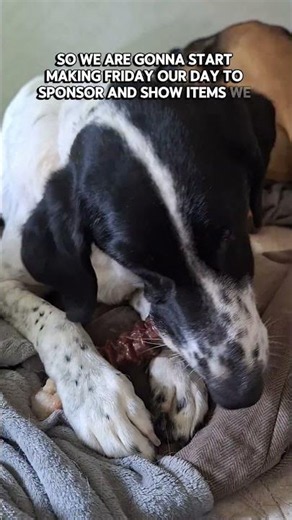 Pack Approved Chew Toys
