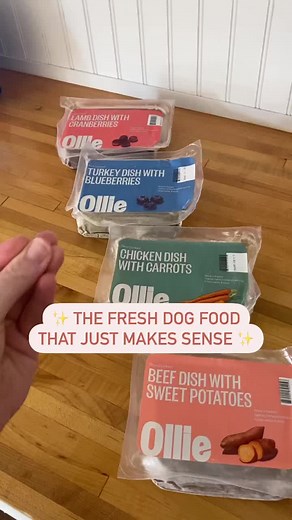 Fresh Dog Food That Makes Sense for Your Pet