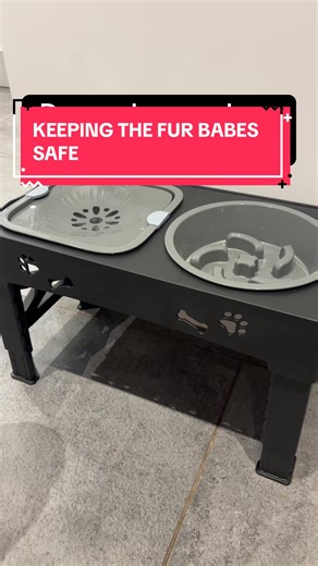 Adjustable Pet Feeder for Dogs: A Must-Have