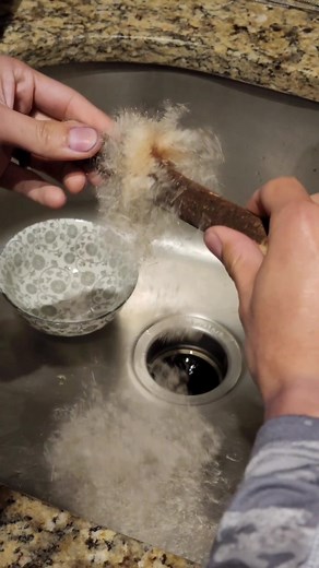 Big Fluffy Cat Tail Biting - Satisfying Plant Pops