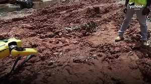 Robots replace workers amid labour shortage