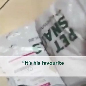 Stinky dog breath isn't only gross, it's also a sign of bacteria that leads to tooth decay and loss...👇 So, what's the solution? A doggy toothbrush? Flossing daily? Nope! Try these 5 simple tips: | Pet Snacks