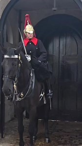 1.4K views · 38 reactions | Foot out of the stirrup #kingsguard | Marks London reels | Facebook