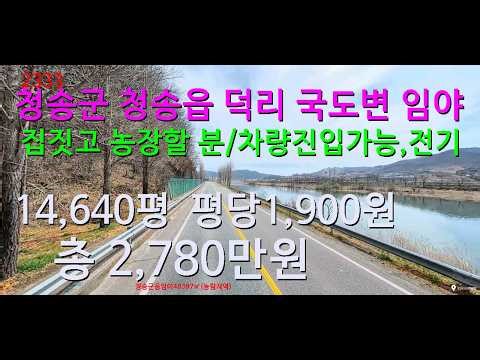 [No. 2333] Urgent sale of forest land in Deok-ri, Cheongsong-eup, Cheongsong-gun