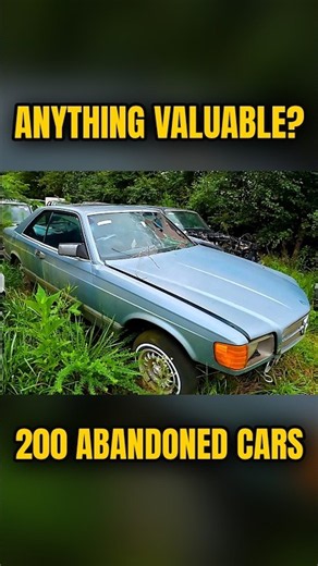 Is there anything valuable left in this junkyard? #abandoned #treasure