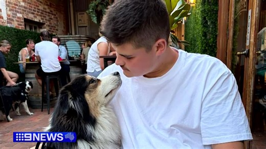 Canterbury-Bankstown council's decision to shut down an Islamic centre has been praised by NSW Premier Chris Minns, saying hate speech needs to be tackled head on. #9News | 9 News Sydney