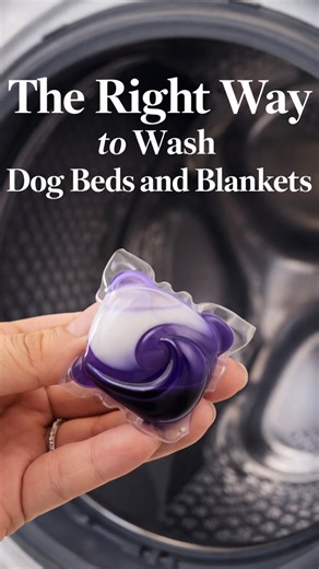 The right way to wash dog beds and blankets