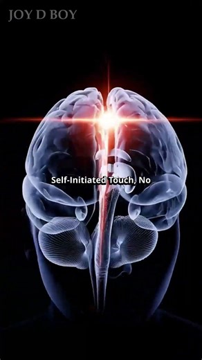 Why You Can’t Tickle Yourself