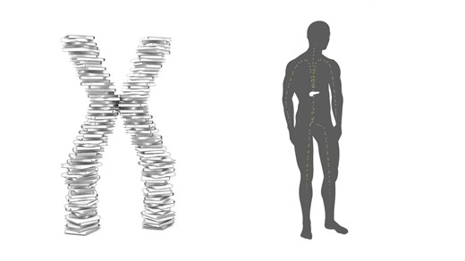 [TED-ED]The twisting tale of DNA