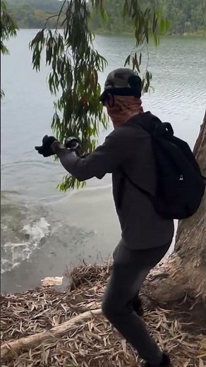 Bow Fishing in River #fishing #fishingusa #shorts