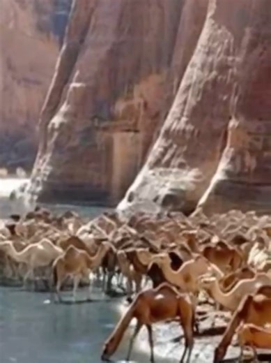 Chad: Famous Landmarks, Natural & Cultural Wonders. #Chad #RepublicOfChad #Africa #CentralAfrica #Sahel #LakeChad #AfricanCulture #AfricanHeritage #LandlockedCountry #Njamena #SaharaDesert #SahelRegion #AfricanNations #ChadLife #ExploreAfrica