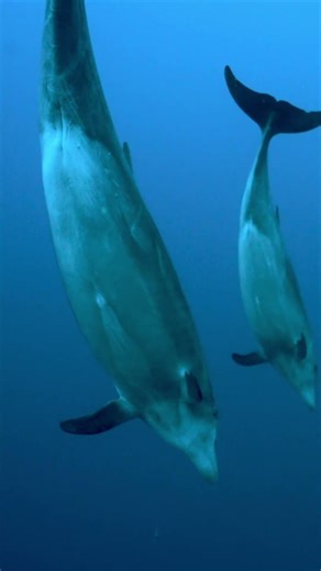 Once a year, we take over Key West.