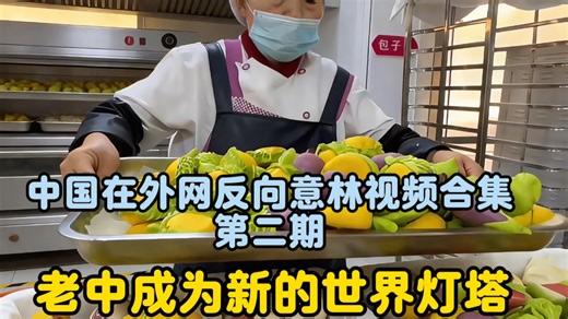 外网反向意林合集第二期：中国在外网已成世界新灯塔