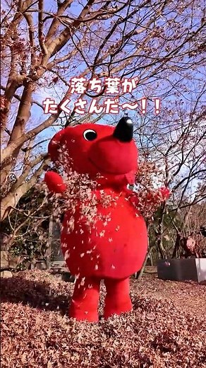 チーバくん、猫ちゃんとあそんだよ♪ #猫がいる美術館 #チーバくんは犬じゃないよ #shorts #vlog
