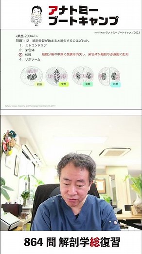 [1-12] Which of the following disappears when cell division begins?