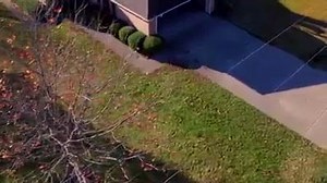 40K views · 792 shares | '68 F100 "Frankenstein" Supercharged 5ltr quad cam v8 with 700rwhp. Join our group here https://www.facebook.com/groups/255062301276671/ | Forced Ford Forum | Facebook