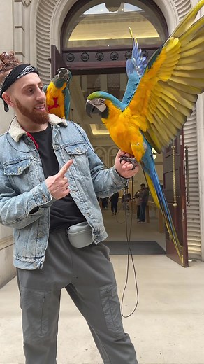 Parrot's Adventure at Birmingham Apple Store