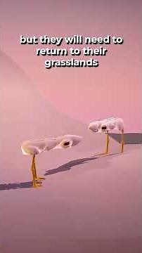 What happens when the evolution simulation enters an ice age ❄️