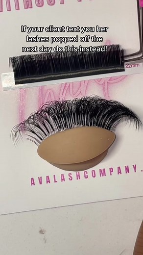 Sensitive Eyelash Glue for Beginners: Avalish Company Review