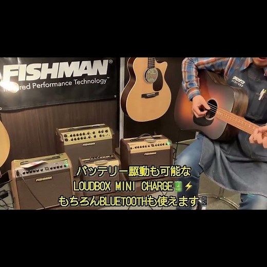 Comparing different Fishman Loudbox guitars #guitar #amplifier #electricacoustic #acousticguitar