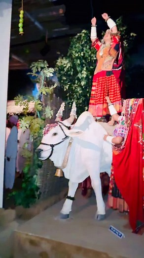 36K views · 11K reactions | नगारा भवन पोहरागड ✌️ जय सेवालाल 퐅퐨퐥퐥퐨퐰...